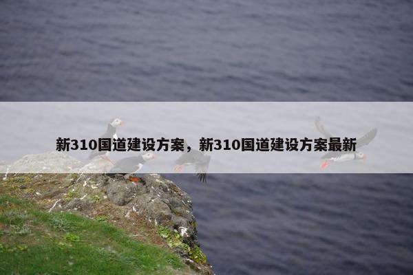 新310国道建设方案，新310国道建设方案最新