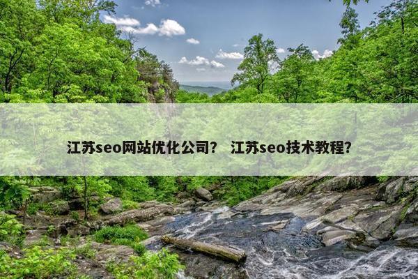 江苏seo网站优化公司？ 江苏seo技术教程？