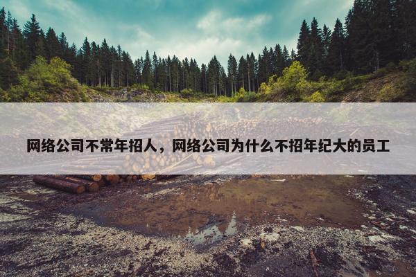 网络公司不常年招人，网络公司为什么不招年纪大的员工