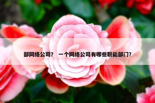 部网络公司？ 一个网络公司有哪些职能部门？