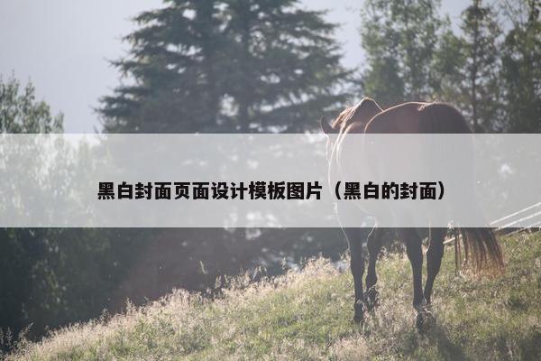 黑白封面页面设计模板图片（黑白的封面）