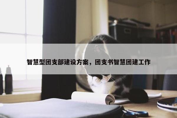 智慧型团支部建设方案，团支书智慧团建工作
