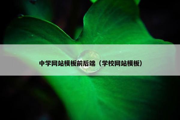 中学网站模板前后端（学校网站模板）