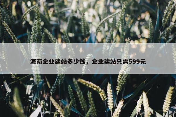 海南企业建站多少钱，企业建站只需599元