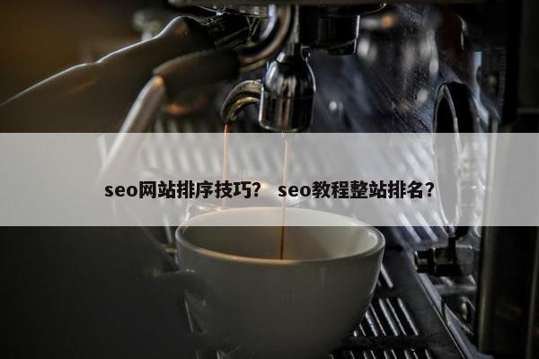 seo网站排序技巧？ seo教程整站排名？