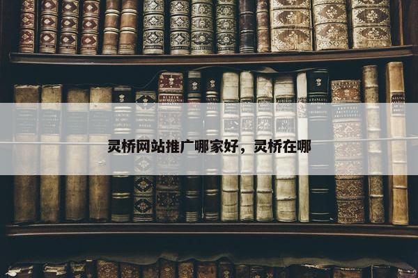 灵桥网站推广哪家好，灵桥在哪