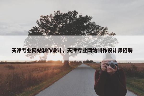 天津专业网站制作设计，天津专业网站制作设计师招聘