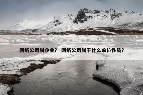网络公司属企业？ 网络公司属于什么单位性质？