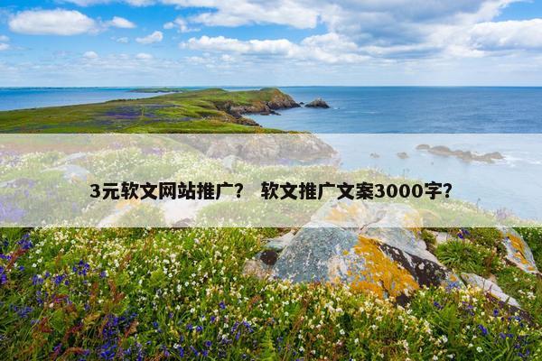 3元软文网站推广？ 软文推广文案3000字？