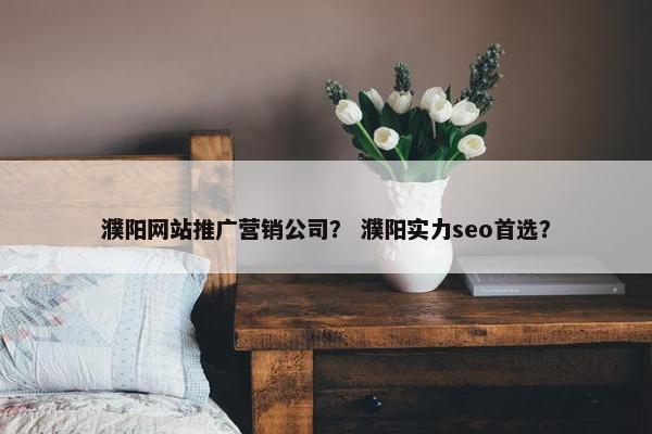 濮阳网站推广营销公司？ 濮阳实力seo首选？