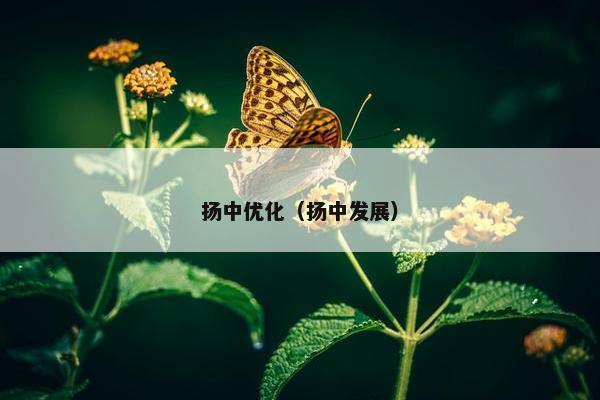 扬中优化（扬中发展）