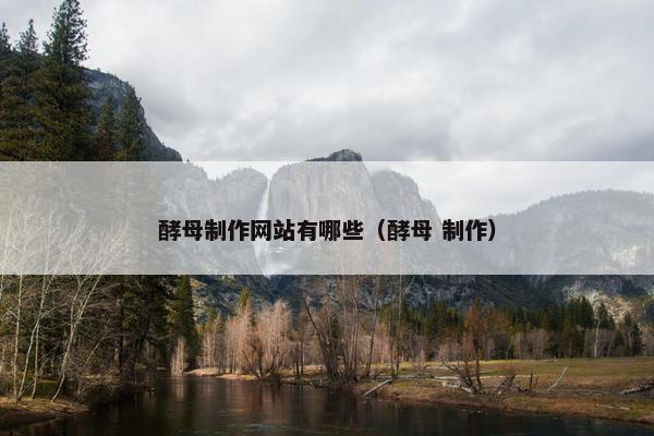酵母制作网站有哪些（酵母 制作）