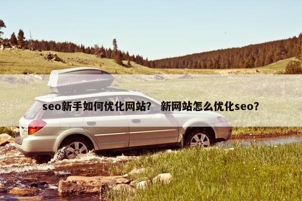 seo新手如何优化网站？ 新网站怎么优化seo？