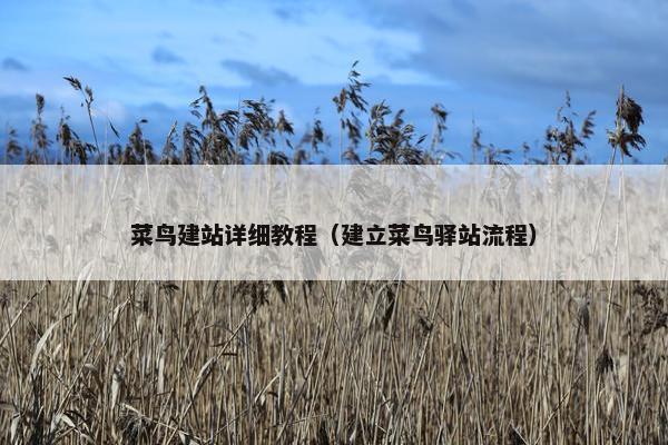 菜鸟建站详细教程（建立菜鸟驿站流程）