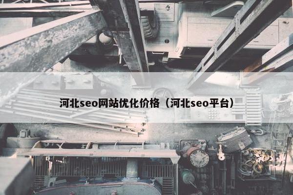 河北seo网站优化价格（河北seo平台）