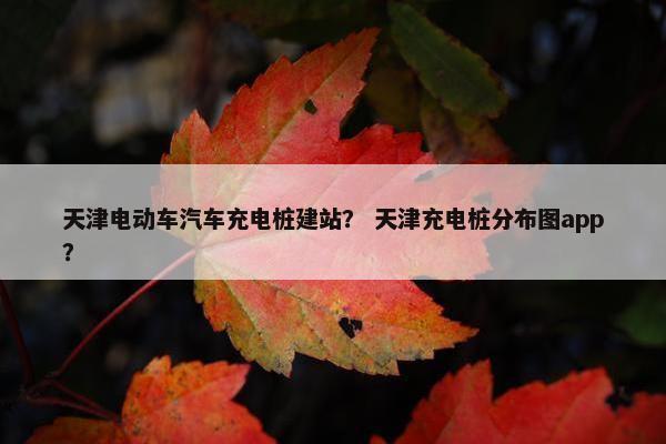 天津电动车汽车充电桩建站？ 天津充电桩分布图app？