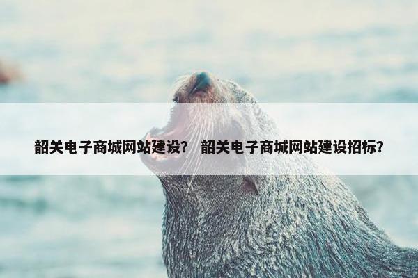 韶关电子商城网站建设？ 韶关电子商城网站建设招标？