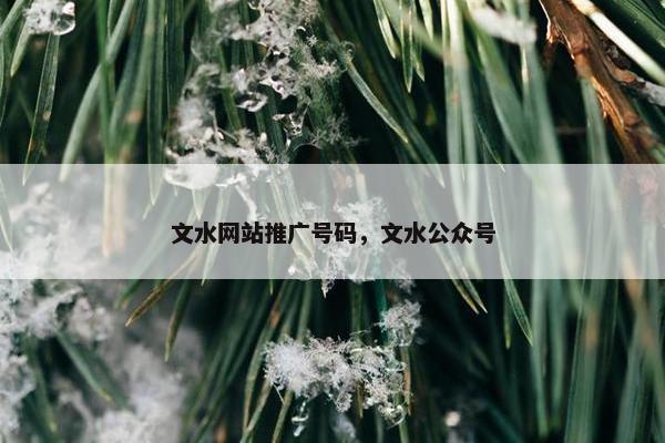 文水网站推广号码，文水公众号
