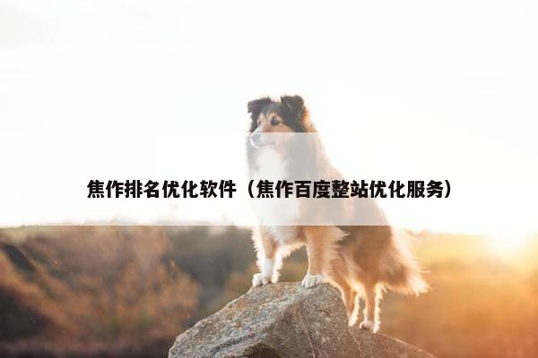 焦作排名优化软件（焦作百度整站优化服务）
