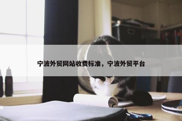 宁波外贸网站收费标准，宁波外贸平台