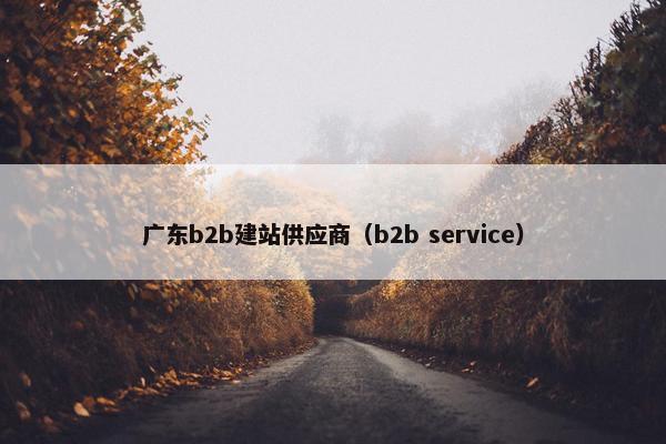 广东b2b建站供应商（b2b service）