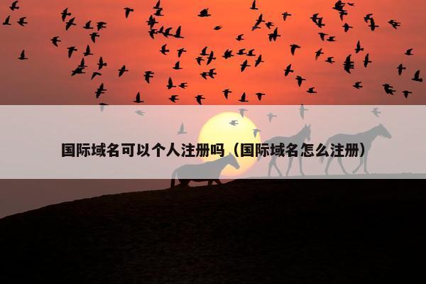 国际域名可以个人注册吗（国际域名怎么注册）