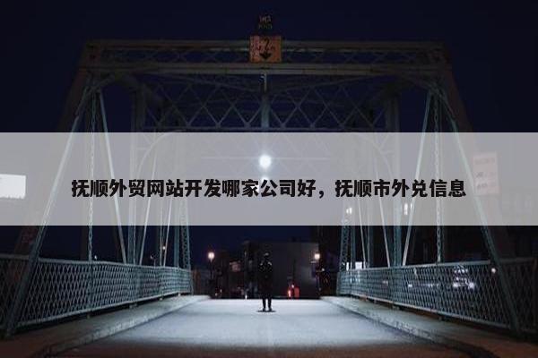 抚顺外贸网站开发哪家公司好，抚顺市外兑信息