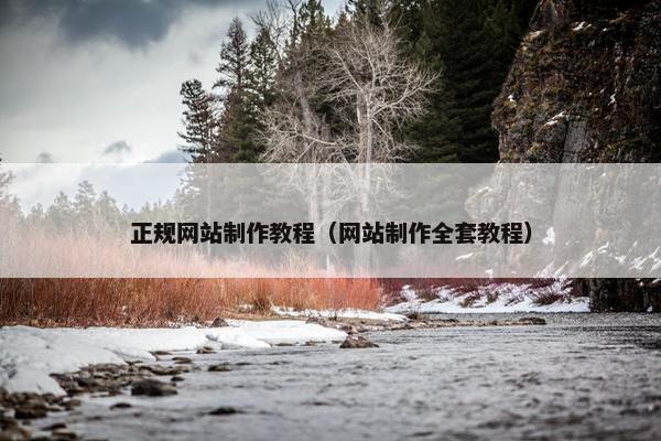 正规网站制作教程（网站制作全套教程）