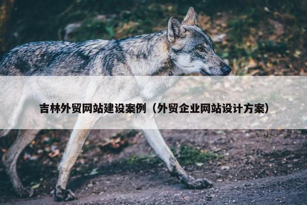 吉林外贸网站建设案例（外贸企业网站设计方案）