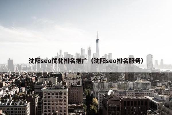 沈阳seo优化排名推广（沈阳seo排名服务）