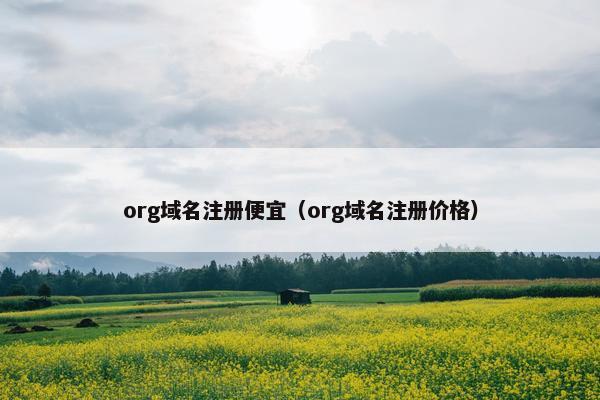 org域名注册便宜（org域名注册价格）