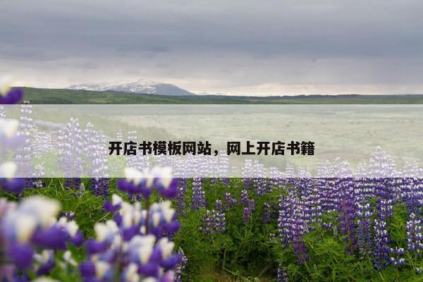 开店书模板网站，网上开店书籍