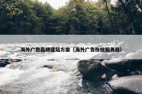 海外广告品牌建站方案（海外广告投放服务商）