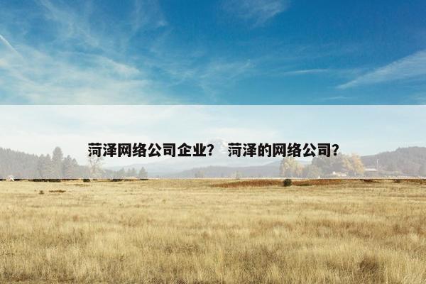 菏泽网络公司企业？ 菏泽的网络公司？