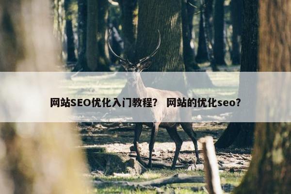 网站SEO优化入门教程？ 网站的优化seo？
