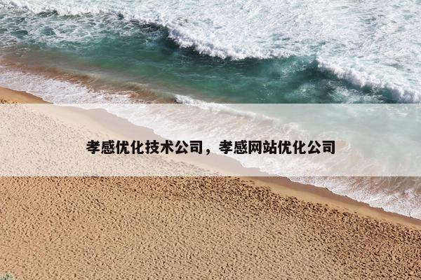 孝感优化技术公司，孝感网站优化公司