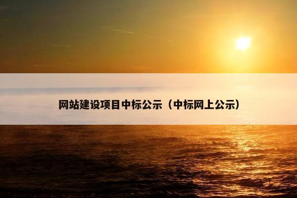 网站建设项目中标公示（中标网上公示）