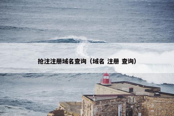 抢注注册域名查询（域名 注册 查询）