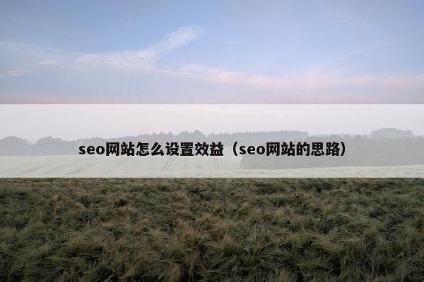 seo网站怎么设置效益（seo网站的思路）