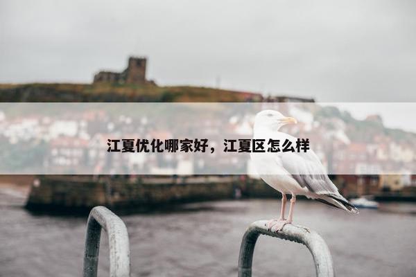 江夏优化哪家好，江夏区怎么样