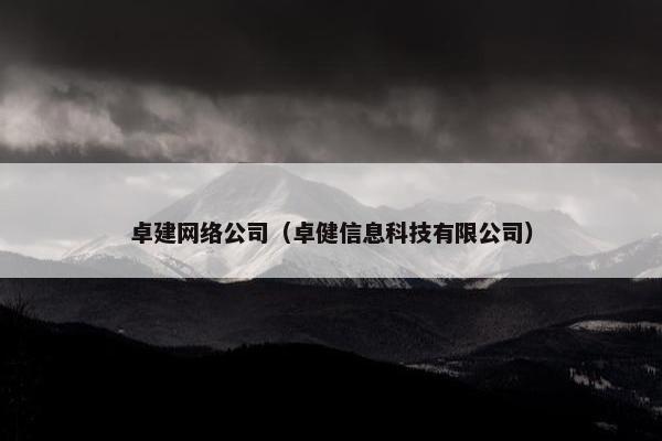 卓建网络公司（卓健信息科技有限公司）