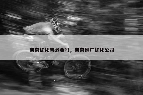 南京优化有必要吗，南京推广优化公司