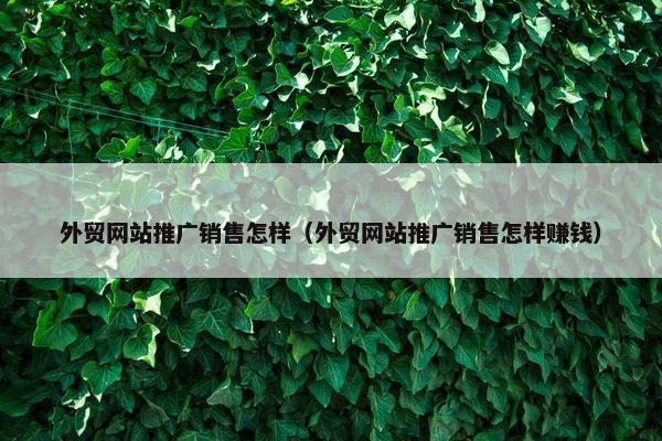 外贸网站推广销售怎样（外贸网站推广销售怎样赚钱）