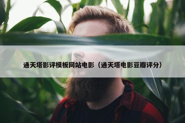 通天塔影评模板网站电影（通天塔电影豆瓣评分）