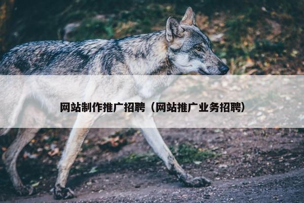 网站制作推广招聘（网站推广业务招聘）