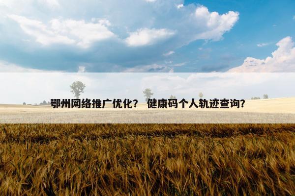 鄂州网络推广优化？ 健康码个人轨迹查询？