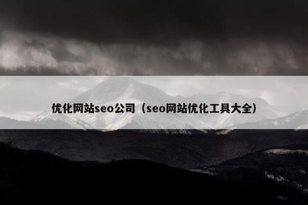优化网站seo公司（seo网站优化工具大全）