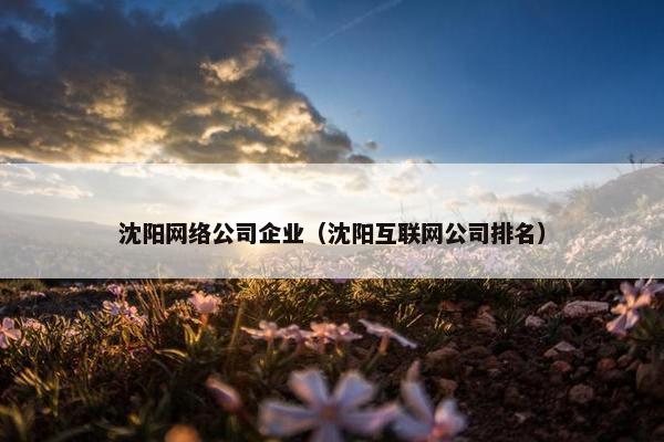 沈阳网络公司企业（沈阳互联网公司排名）