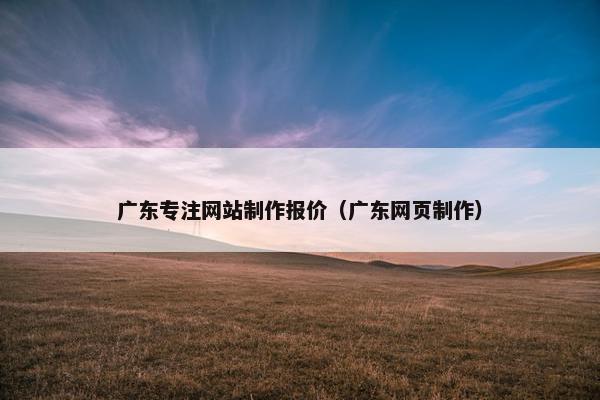 广东专注网站制作报价（广东网页制作）