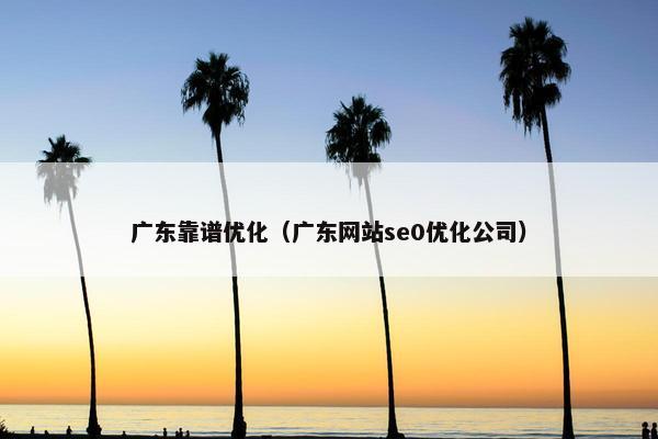 广东靠谱优化（广东网站se0优化公司）